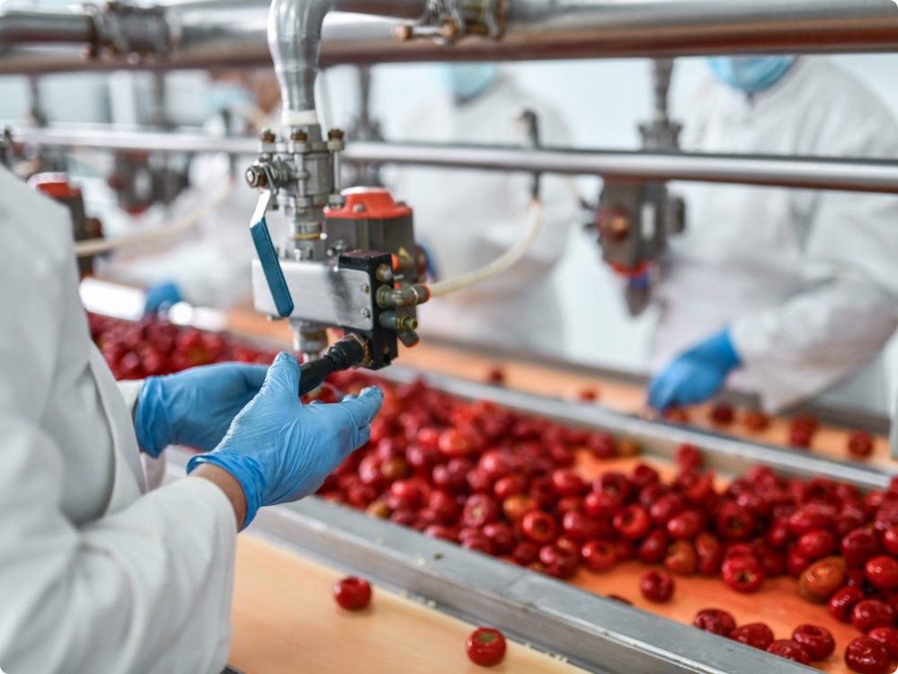 Workers-de-seeding-cherries-for-chia-pudding